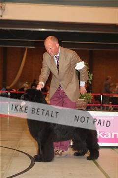 124188 _tl_02_IMG_9595.JPG