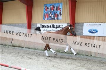 181868_mtp_02_R62_5444.JPG
