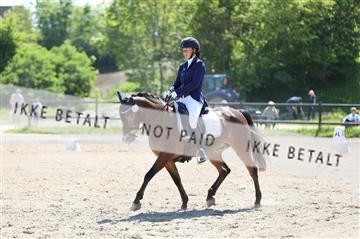 168732_mtp_01_3M5A7551.JPG