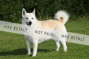 130370_se_03_IMG_6756.JPG