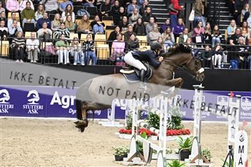 182194_kbb_02_Z099466.JPG