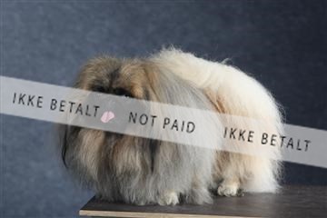 132082_le_ 01_IMG_1564.JPG