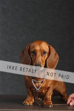 132082_le_ 01_IMG_0305.JPG