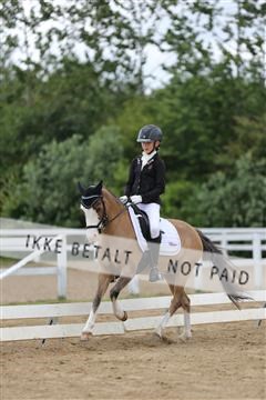 156196_nn_01_IMG_6147.JPG