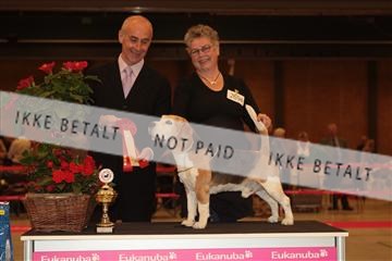 124188 _tl_02_IMG_9599.JPG