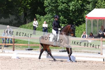 181449_bc_01R62_5535.JPG