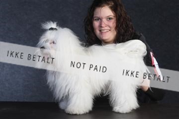 132082_le_ 01_IMG_0287.JPG