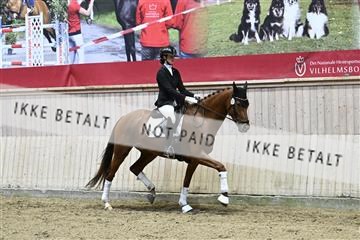 182241_kbb_01_Z093116.JPG
