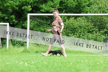 181564_rin_02_R62_1644.JPG