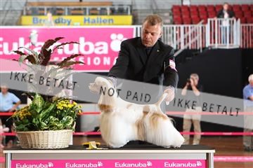 6068_ma_07_IMG_7102.JPG