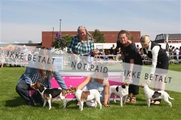 130370_se_02_IMG_6278.JPG