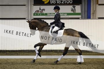141472_abo_01__AB15901.JPG