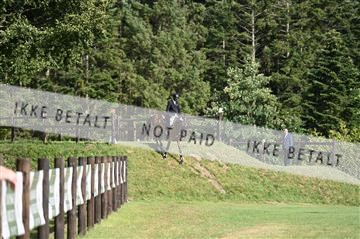 AKL_6037.JPG