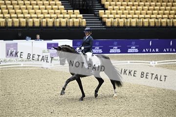 182194_kbb_01_Z095305.JPG
