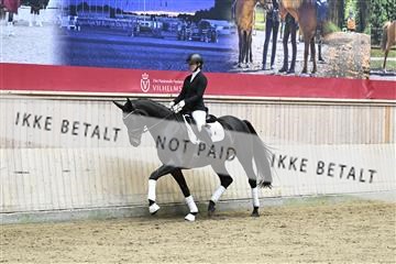 182241_kbb_01_Z094246.JPG