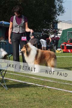 6068_ma_06_IMG_3503.JPG