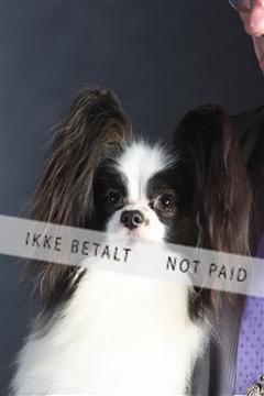 132082_le_ 01_IMG_1587.JPG