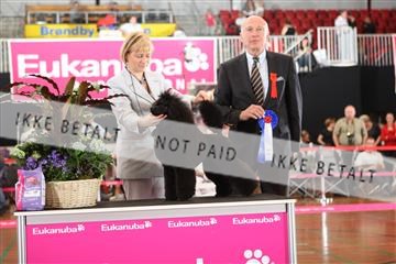 6068_ma_07_IMG_6725.JPG