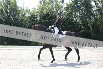 163526_mlm_01_IMG_1610.JPG