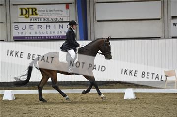 140040_abo_02__AB19318.JPG