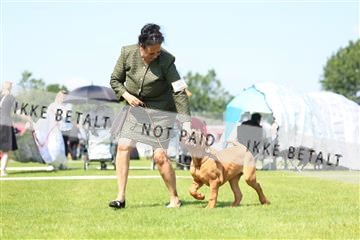181564_rin_01_R62_7647.JPG