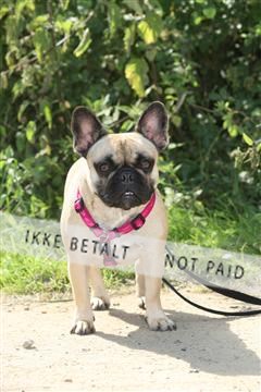 130370_se_02_IMG_5632.JPG