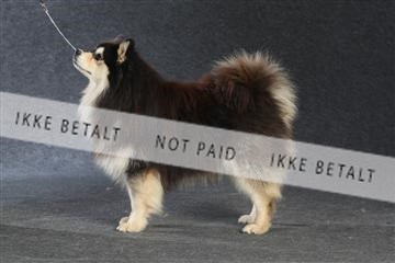 132082_le_ 01_IMG_1364.JPG