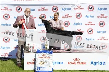 181564_ch_01__62_9684.JPG