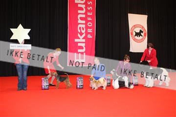 126827_jbr_02_IMG_0940.JPG