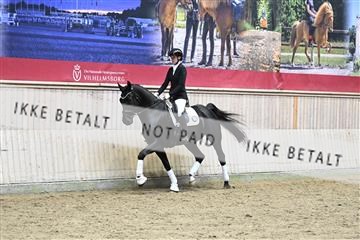 182241_kbb_01_Z095042.JPG