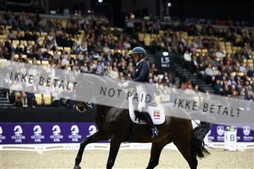 182194_avh_06_3143.JPG
