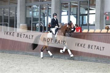 181852_mtp_04_R62_2967.JPG