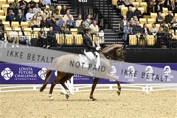 182194_kbb_03_Z090950.JPG