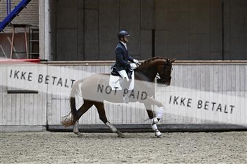 182241_kbb_01_Z094858.JPG