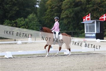 181894_mtp_01_R62_0293.JPG