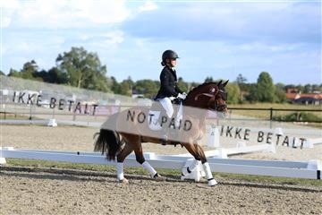 181894_mtp_05_R62_5533.JPG