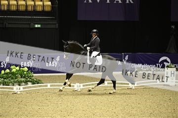 182194_kbb_01_Z095764.JPG
