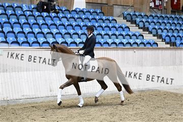 182241_kbb_01_Z094886.JPG