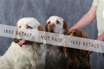 129608_le_ 01_0711.JPG