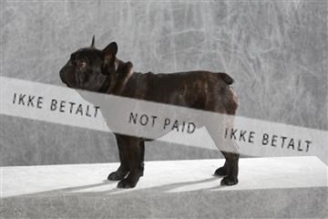 130054_le_ 03_0028.JPG