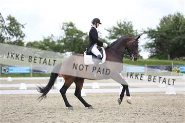 156196_nn_01_IMG_5312.JPG