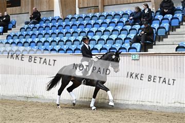 182241_kbb_01_Z094547.JPG