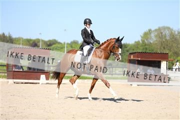 168732_mtp_01_3M5A8459.JPG
