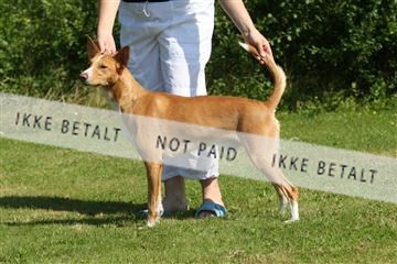 130370_se_03_IMG_6871.JPG