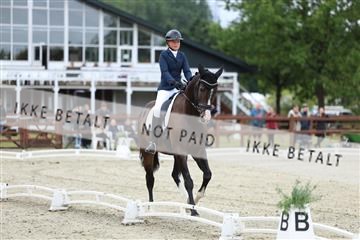 181923_mtp_02_R62_7117.JPG
