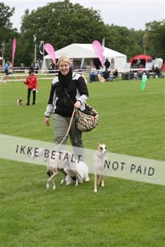 130370_se_01_IMG_5065.JPG