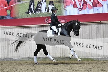 182241_kbb_01_Z095130.JPG