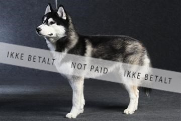 132082_le_ 01_IMG_0096.JPG