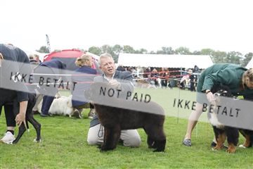 182009_kar_01__62_5155.JPG
