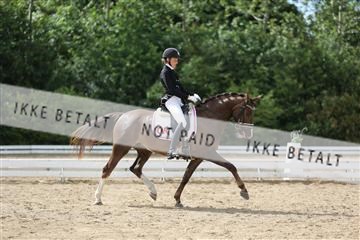 156196_nn_01_IMG_6515.JPG